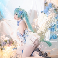 星之迟迟 初音未来粉蝶花精灵3