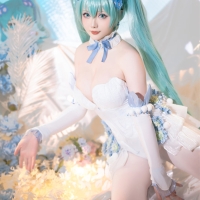 星之迟迟 初音未来粉蝶花精灵4