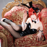 封疆疆v 兴登堡兔女郎1