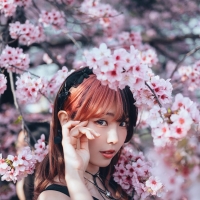 ElyEE子 2025April Tier三3