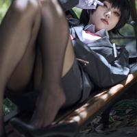 矢量鱼 椿导游4