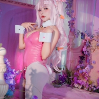 是一只熊仔吗 Nikke爱丽丝兔女郎1
