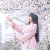 HaneAme 雨樱下的约定1