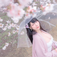 HaneAme 雨樱下的约定4
